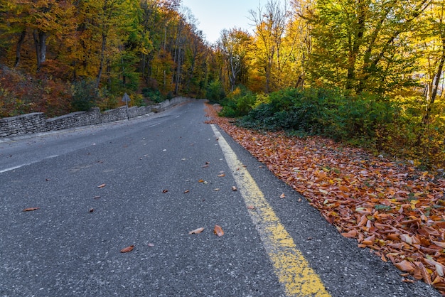 Asphalt road along the mountains in the autumn season