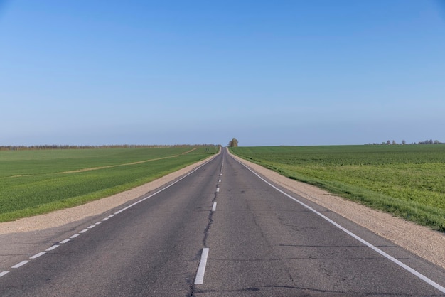 An asphalt road along which green plants