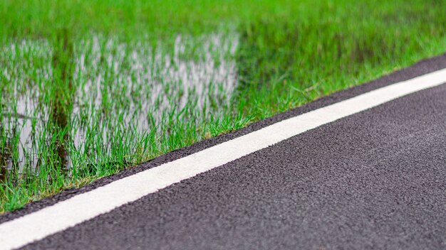 Asphalt road among the grass field.