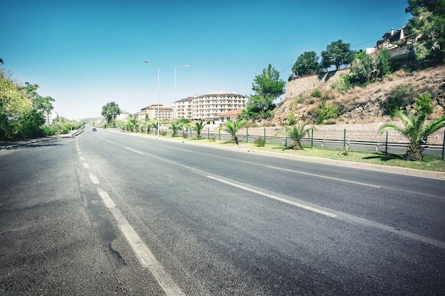 Asphalt road surrounded by palm trees