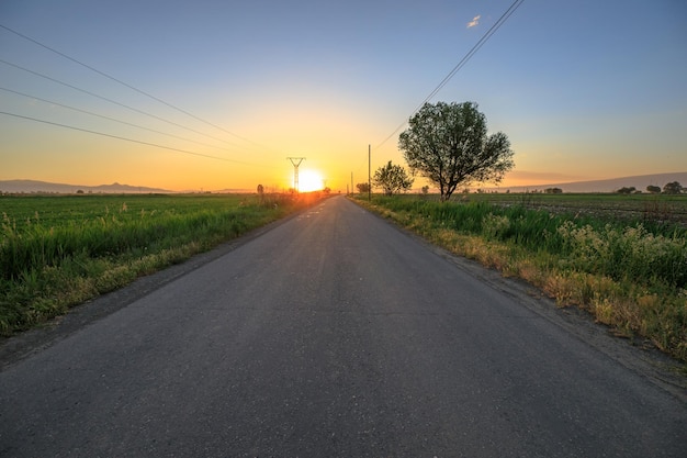 Asphalt road through agricultural fields