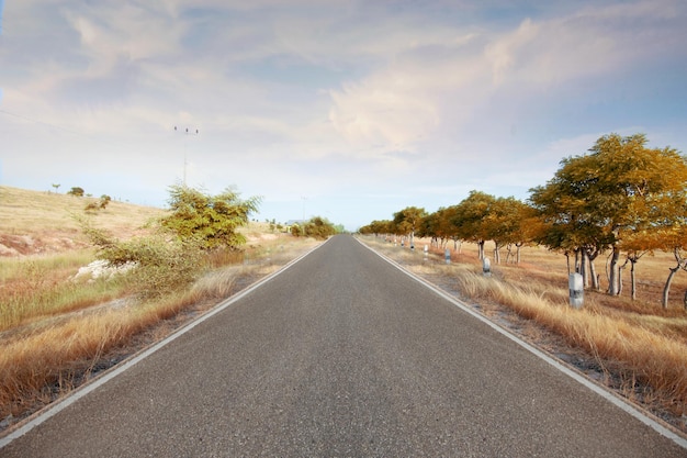 Asphalt road with meadow field and trees