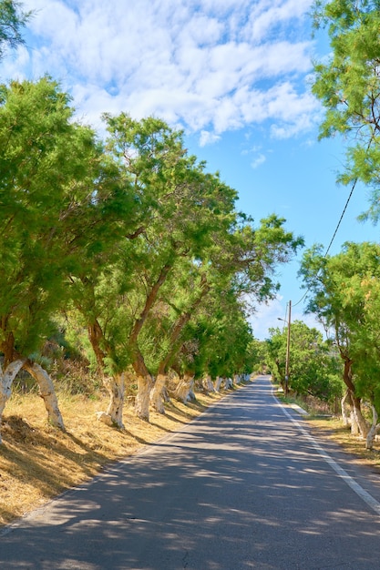 Asphalt road with shadows on the island of Crete on a sunny day.