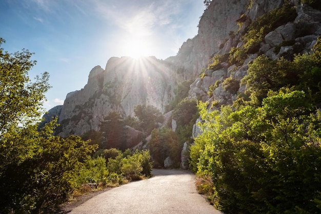 Asphalted road in the mountains beautiful sunshine summer vacation time