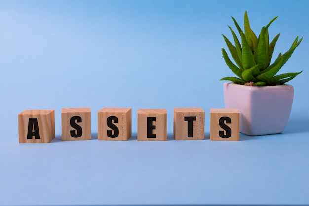 assets  word from wooden blocks with letters useful or valuable thing assets concept