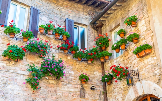 Assisi village in Umbria region, Italy. The town is famous for the most important Italian Basilica dedicated to St. Francis - San Francesco.