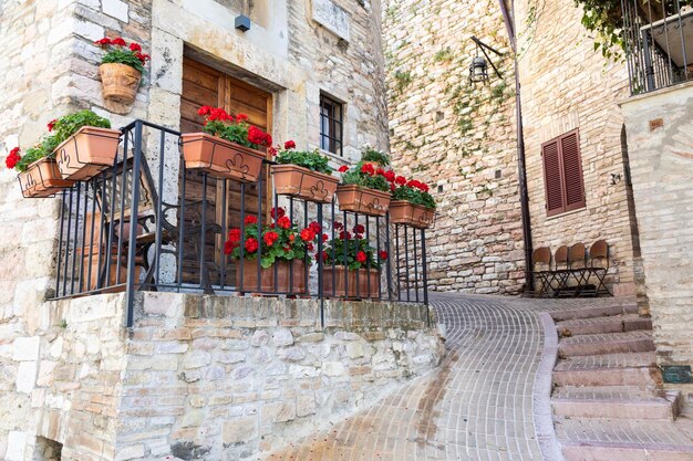 Assisi village in Umbria region, Italy. The town is famous for the most important Italian Basilica dedicated to St. Francis - San Francesco.