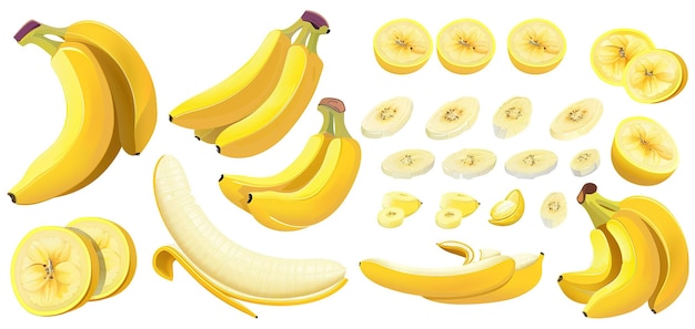 Assorted bananas and slices isolated on white background illustration for design projects and marketing materials