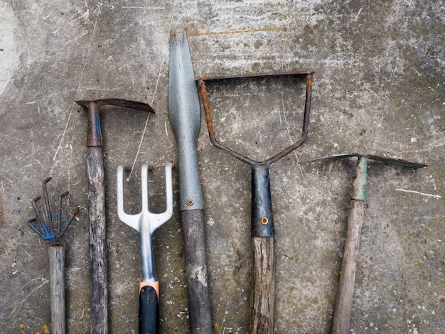 Assorted old garden tools, gardening concept