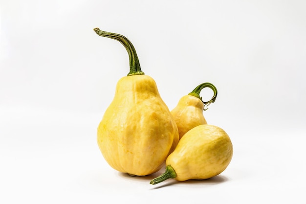 Assorted ripe pumpkins isolated on white background. Whole squash, traditional festive decorative element for Halloween or Thanksgiving