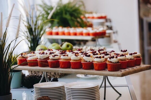 Assortment of delicious and colorful dessert chocolate cake mixed berry tart lemon meringue tart