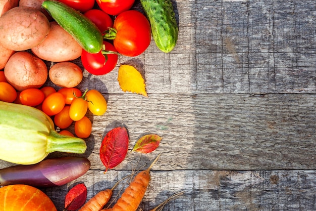 Assortment different fresh organic vegetables on country style wooden background Healthy food vegan vegetarian dieting concept Local garden produce clean food Frame top view flat lay copy space