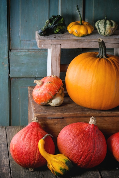 Assortment of different pumpkins