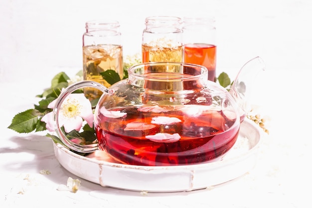 Assortment flowers tea. Fresh elderberry, rose hip, and acacia. Healthy food concept. White plaster background, copy space