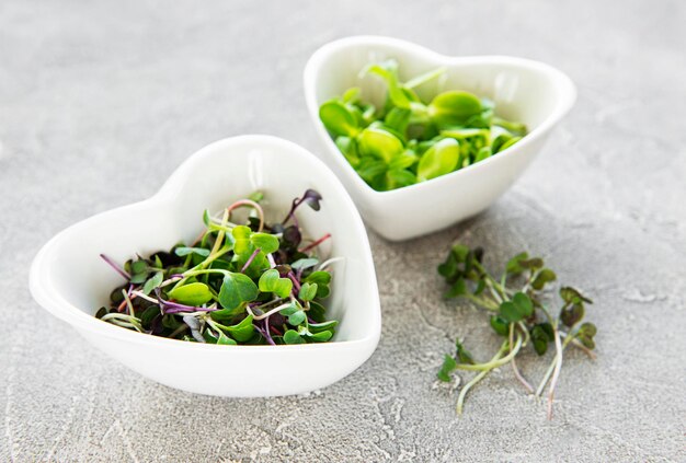 Assortment of micro greens at concrete background top view Healthy lifestyle