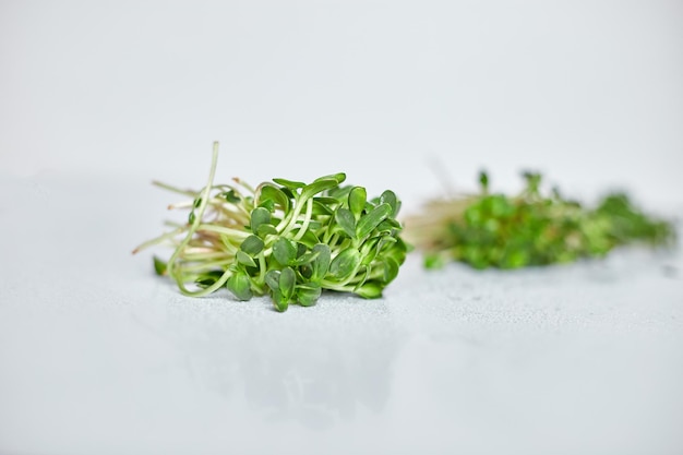 Assortment of Microgreen heap of sprouts micro greens on white background