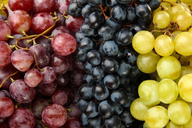 Assortment of ripe sweet grapes close up