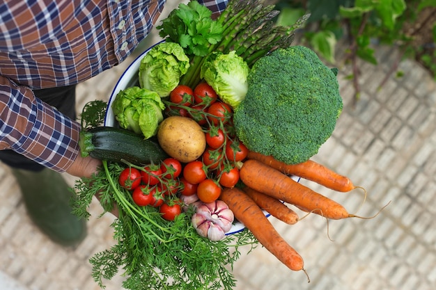 Assortment of ripe vegetables from orchard in farmer hands Harvest concept farm market organic bio food delivery zero waste ecofriendly concept