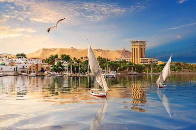 Aswan river scenery, beautiful Nile view, Egypt.