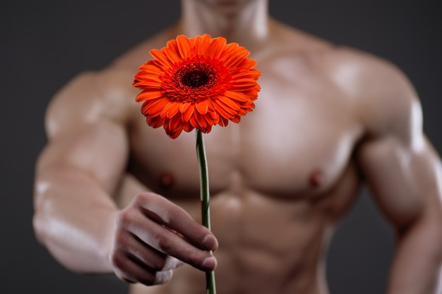 Athletic man holding a gerbera in his hand. Love and romance relationships concept