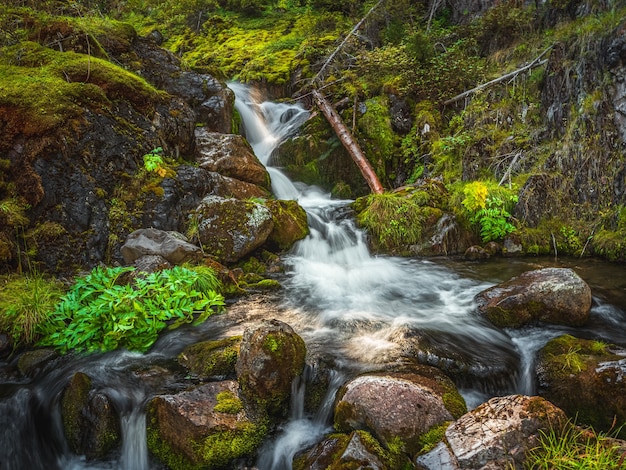 Atmospheric minimal landscape with a long exposure of a large waterfall on a green rock. Nature background of turbulent falling water stream on wet rocks.