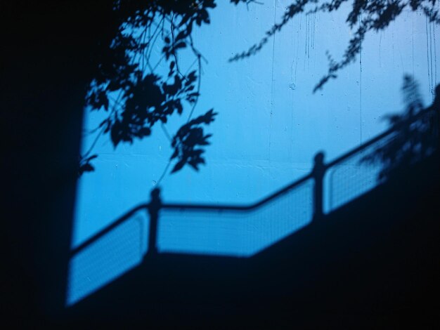 Photo atmospheric photograph of shadows on a blue lit wall