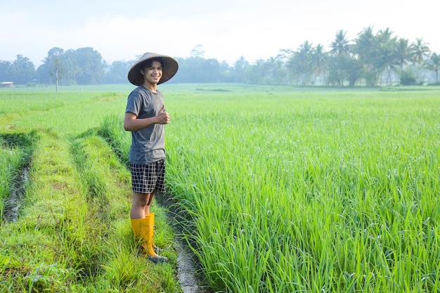 Attractive cheerful young Asian farmer standing and smiling showing thumb up at the rice field Mode