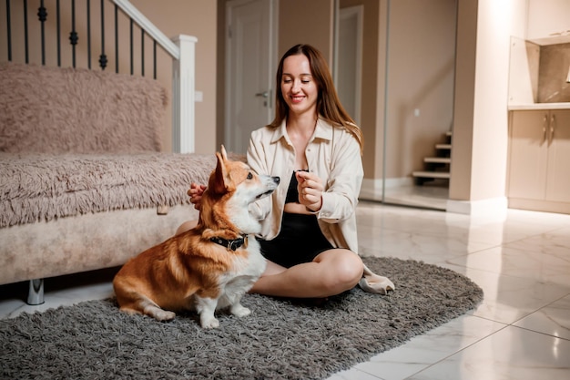 Attractive girl hug and play with corgi dog at home Welsh Corgi Pembroke with his owner woman on the floor at living room