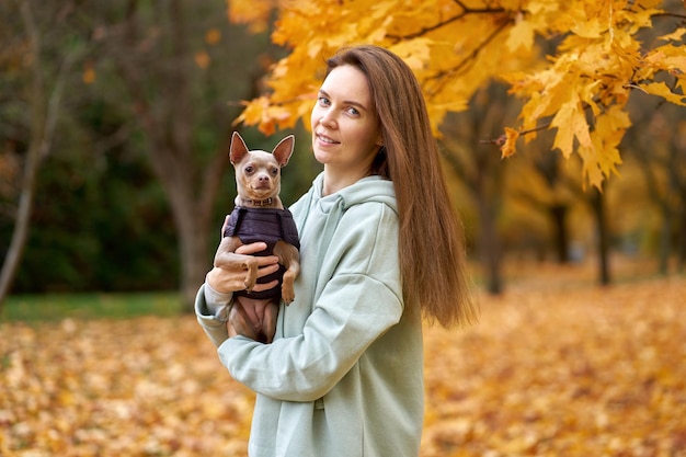 Attractive longhair wowan with her dog toyterrier posing in the autumn park