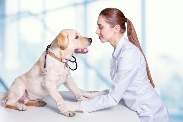 Attractive young female doctor with funny canine patient