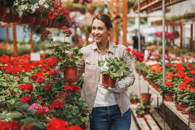 Attractive young woman working in greenhouse, holding and arranging flower pots and enjoying in beautiful and colorful flowers.