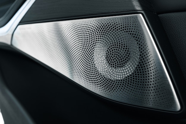 Audio speaker in a luxury car door detail