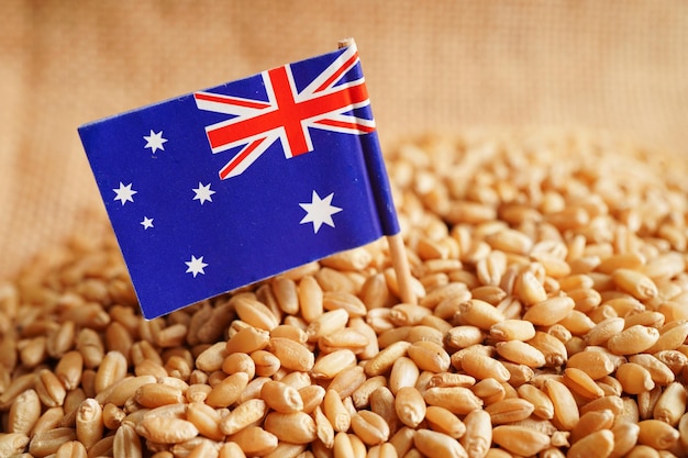 Australia on grain wheat trade export and economy concept