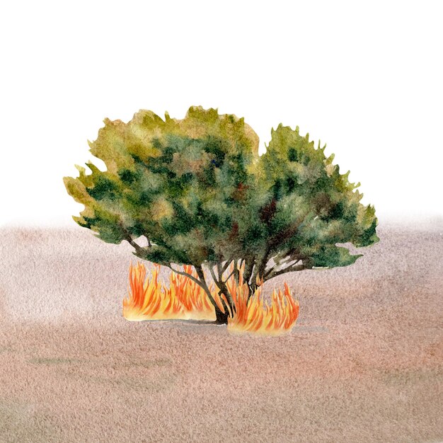 Australian bushfire composition Green tree burning on outback sandy ground Watercolor Illustration