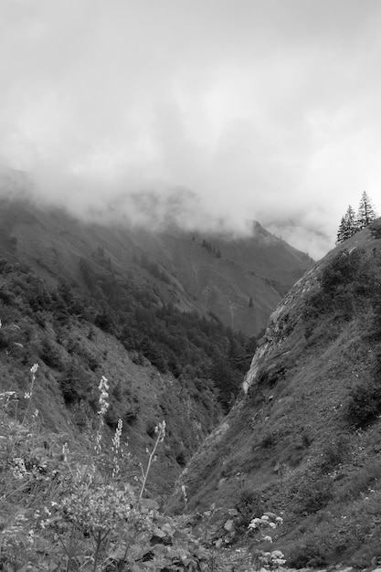 Photo in the austrian alps