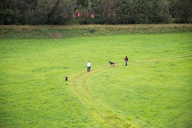 Austrian people use leash bring dogs walk and playing on grass field at Reutte city in Tyrol state Austria