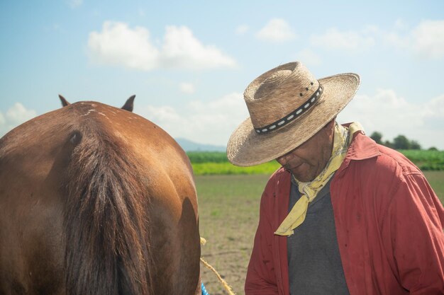 Authentic Rural Life Man and Horse Working in Corn Agriculture