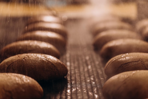 Automatic bakery production line with sweet cookies on conveyor belt equipment machinery in confectionary factory workshop industrial food production