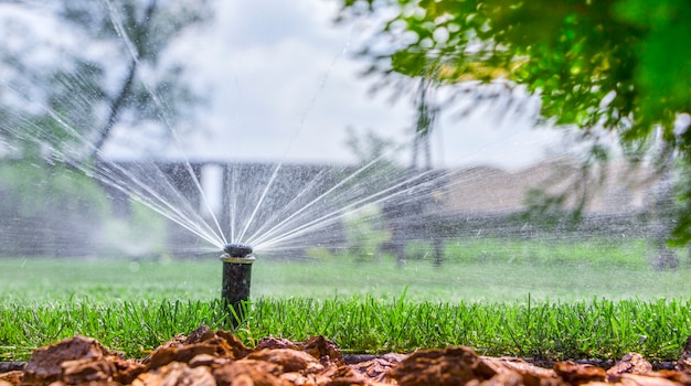 Automatic irrigation system, irrigate the lawn in time.