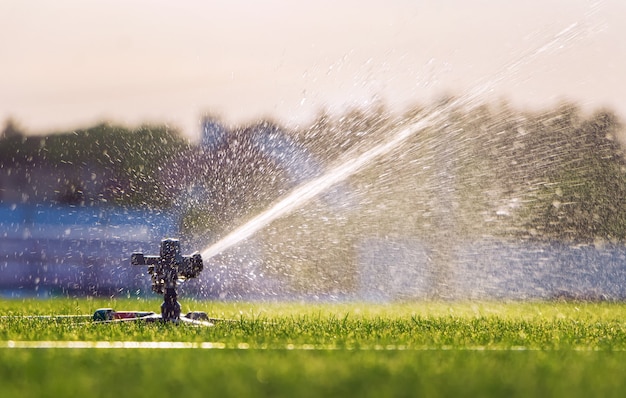 Automatic lawn sprinkler watering green grass on a stadium. Irrigation system.