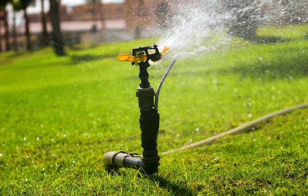 Automatic sprinkler system watering the lawn Lawn irrigation in the park