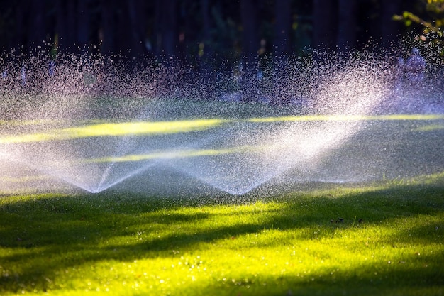 Automatic watering of lawns in the park watering decorative grass in the recreation area of the city park water fountain in sunlight