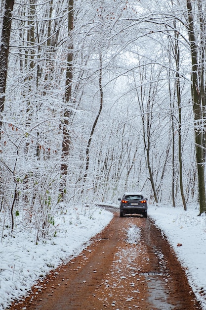 An automobile covered in snow drives along a road in the middle of a winter forest on a frozen road