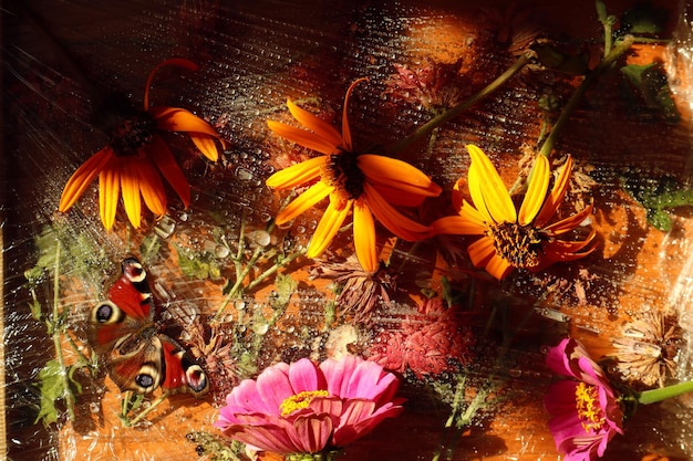 Autumn abstract background yellow flowers pink zinnias butterfly among water droplets top view