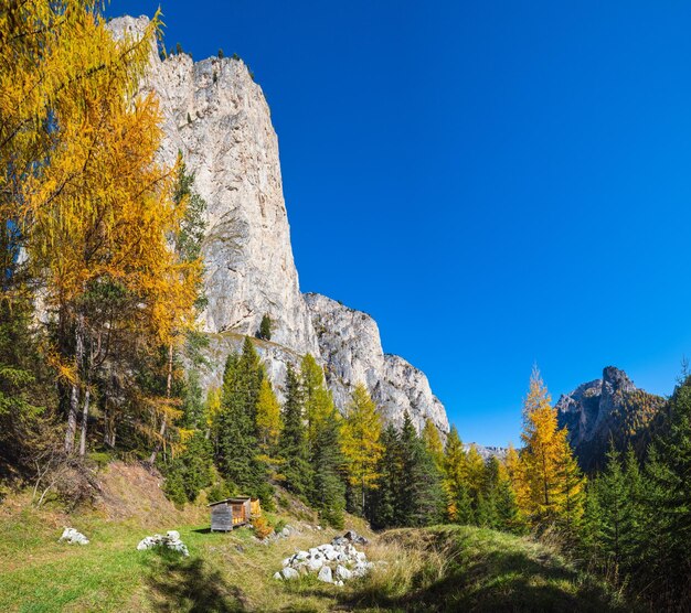 Autumn alpine Dolomites rocky mountain scene Sudtirol Italy Peaceful view near Wolkenstein in Groden Selva di Val Gardena