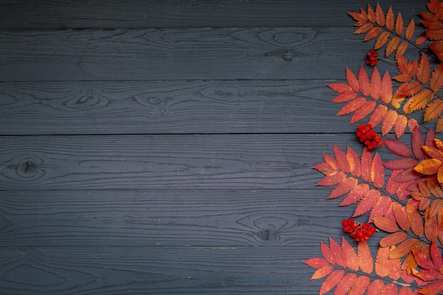 Autumn background autumn mood Bright leaves and red rowan berries on a dark wooden table Top view with copy space