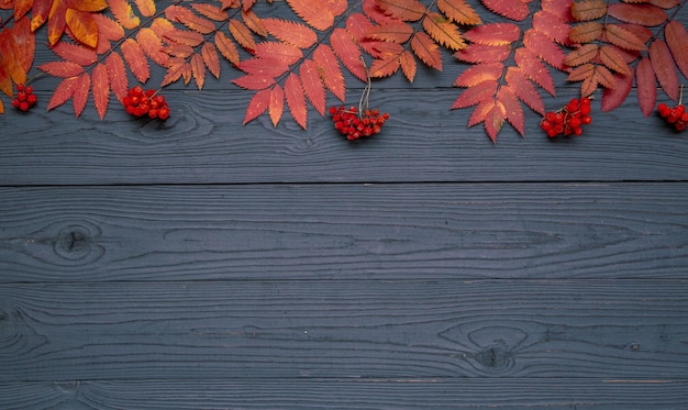 Autumn background autumn mood Bright leaves and red rowan berries on a dark wooden table Top view with copy space