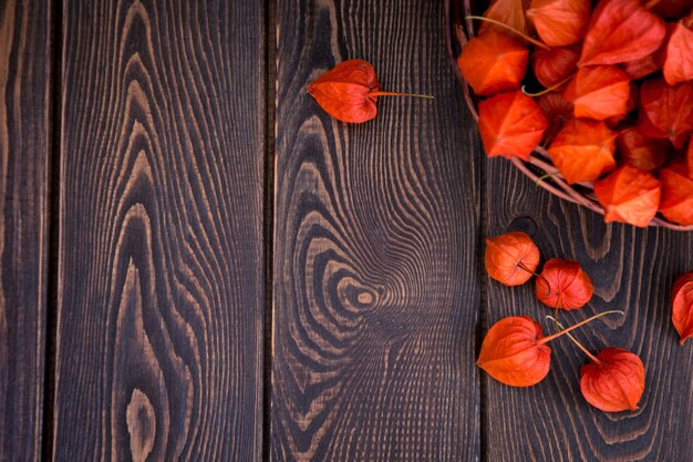 Autumn background. Bright orange physalis berries on a brown woody background.