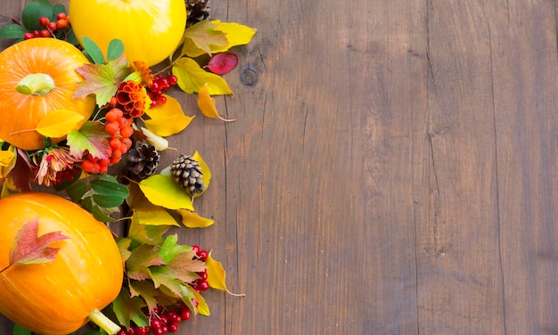 Autumn background decorated with pumpkins, colorful leaves and berries of rowan and viburnum