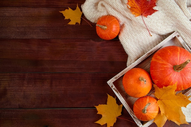 Autumn background flat la Ripe pumpkins in box yellow leaves and a knitted scarf on wooden background Thanksgiving and halloween concept